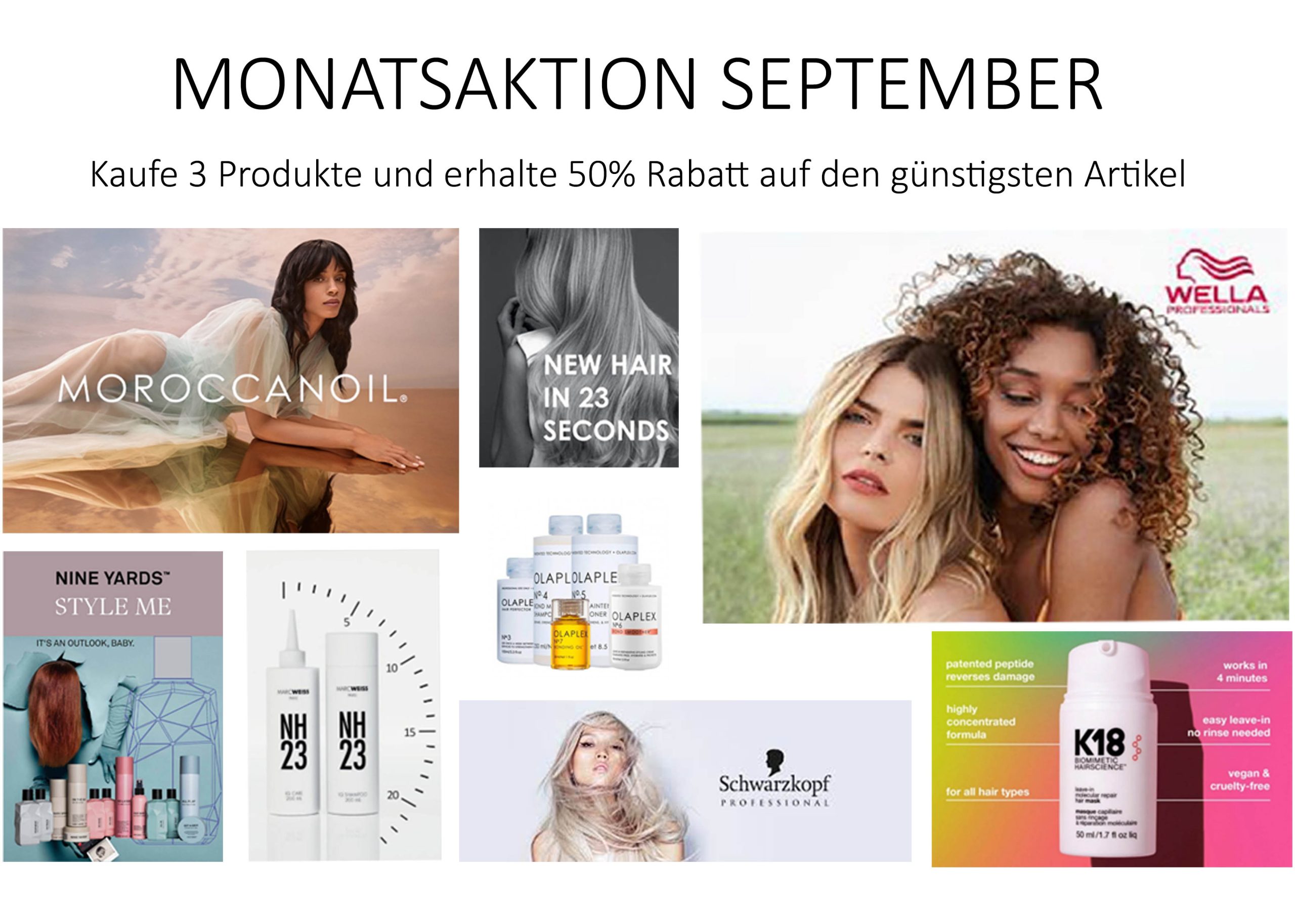 Monatsaktion September 2026 web